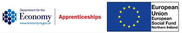 Apprenticeships provided by the Department for the Economy